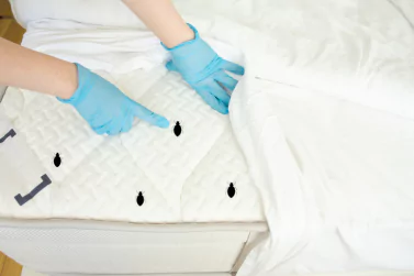 Bedbug Control Ivanhoe